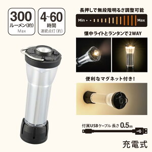 LED�~�j�����^���i���i�K����/�ő�300 lm/�A���_��4�`60����/�ی쓙��IPX4�j_08-1051_LN-CH300-LK_OHM�i�I�[���d�@�j