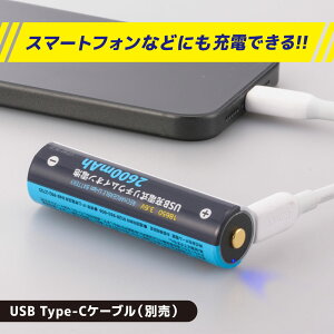USB�[�d�����`�E���C�I���d�r�iUSB Type-C�|�[�g����/����Ԃ��g�p500��/2600mAh/3.6V�j_08-1091_BTJ-1865026-PD_OHM�i�I�[���d�@�j