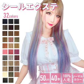 エクステ シールエクステ 人毛【ノーマル色 40本分 20シート 50cm】エクステ シール ロング メッシュ ハイライト インナーカラー イヤリングカラー シール エクステ ダンス 子供 簡単 セルフ ピンク シルバー 黒 茶 カラーエクステ ちいめろ おしゃれ かわいい