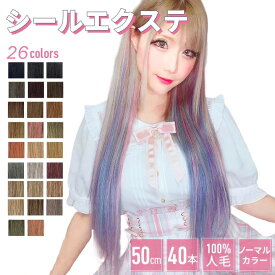 エクステ シールエクステ 人毛【ノーマル色 40本分 20シート 50cm】エクステ シール ロング メッシュ ハイライト インナーカラー イヤリングカラー シール エクステ ダンス 子供 簡単 セルフ ピンク シルバー 黒 茶 カラーエクステ ちいめろ おしゃれ かわいい