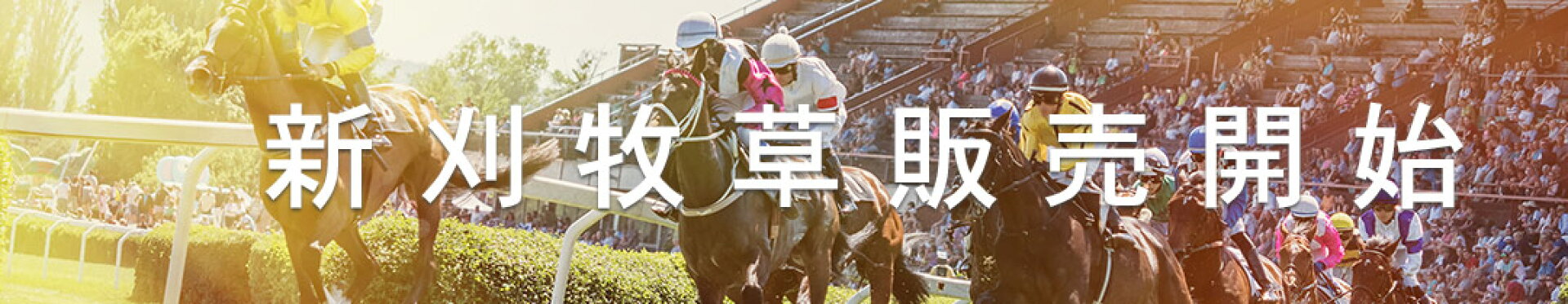 令和7年産新刈牧草