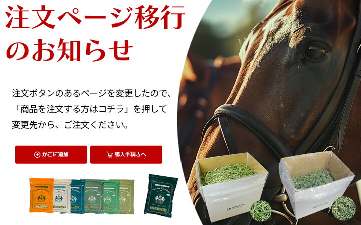 アモレジー 楽天市場】※販売ページ変更※  令和6年産(濃緑)新刈チモシー1番刈り牧草10kg1番刈チモシー【業務用】【同梱不可】北米産シングルプレスチモシーEXTOLEVEL |  スーパープレミアムホースチモシー競走馬業務用牧草 10kg※商品ページが変わりました※ : EXTOLEVEL