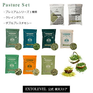 `V[ɖKIHߘa7NY V `V[v~AV[Y1ޑIׂāAX2ނ̃`V[tqZbĝ/GNXgx1ԊE2ԊEAt@