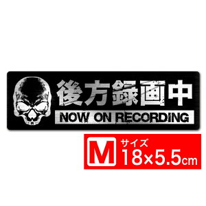  ^撆 XJM wACA~ XebJ[ V[ 18x5.5cm MTCY hCuR[_[ڎԗ ^]΍M EXPROUD B077BXRQLX