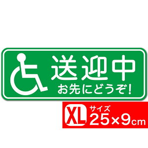  Ԉ֎q } ɂǂI O[ 25x9cm XebJ[ V[ ^]΍ Ǔ˖h~΍ EXPROUD B07DJ6CCS5