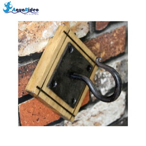 ANA fI VNtbN uE 3kg܂ mtbNǊ| EH[VFt ǔl ȒPz`LX G AquaRideo