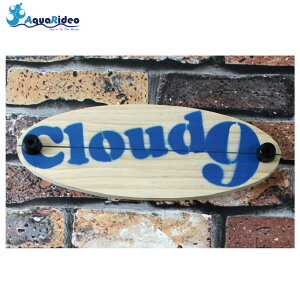 ANA fI s {[hnK[ for Snow u[ 8kg܂ ȒPz`LX Xm[{[hǊ| ǔl EH[VFt G AquaRideo