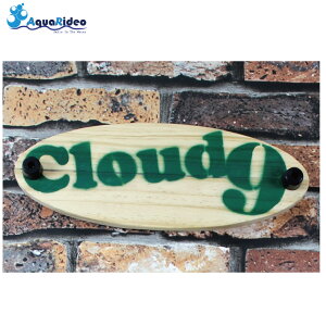 ANA fI s {[hnK[ for Snow O[ 8kg܂ ȒPz`LX Xm[{[hǊ| ǔl EH[VFt G AquaRideo