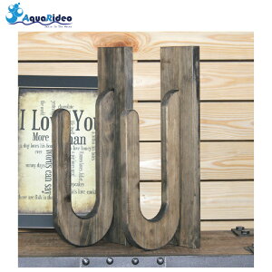 ANA fI C[W[bN for {[h p Type ubN 12kg܂ 2Zbg T[t{[hǊ| z`LX EH[VFt G AquaRideo