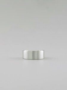 UNKNOWN. �A���m�E�� U040  BOARD1  RING / SILVER �V���o�[ �t���b�g �����O�V���v�� �����Y ���f�B�[�X