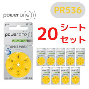 p[/⒮dr/⒮pCdr/⒮/dr/fW^⒮eБΉ/hCc/ PR536(10) 6×20V[gZbg PR536(10)