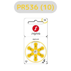 VOjA/Signia/⒮dr/⒮pCdr/⒮/dr/fW^⒮eБΉ/hCc/ PR536(10) 6 PR536(10)