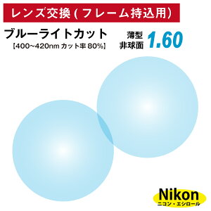 yX̃t[OKzyYpzt[ݗp jREGV[ i` u[CgJbg 80%Jbg UV420 ^ ܗ 1.60 񋅖ʁi21gj Nikon Essilor Kl ዾ 