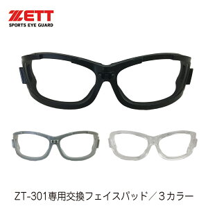 ZETT [bg ZT-301 p p tFCXpbh Kl S[O p[c 싅Kl X|[cKl  \