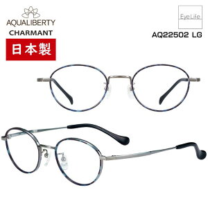 { t[ ANAoeB AQUALIBERTY V} yAQ22502 WYtzyz Kl xt x ɒB ዾ ߎ   ߂ {Xg JAPAN  y `^ e