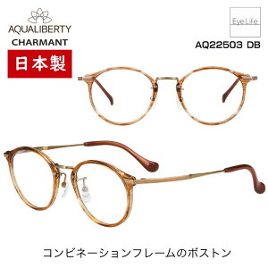 { t[ ANAoeB AQUALIBERTY V} yAQ22503 WYtzyz Kl xt x ዾ ߎ   ߂ {Xg Rrt[  y `^ 