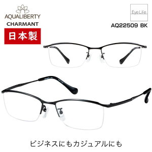 { t[ ANAoeB AQUALIBERTY V} yAQ22509 WYtzyz Kl xt x ዾ ߎ   ߂ XNGA iC[ n[t  y 