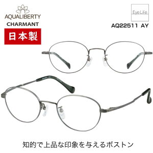 { t[ ANAoeB AQUALIBERTY V} yAQ22511 WYtzyz Kl xt x ɒB ዾ ߎ   ߂ {Xg JAPAN  y `^ `^