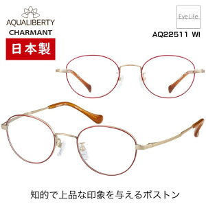 { t[ ANAoeB AQUALIBERTY V} yAQ22511 WYtzyz Kl xt x ɒB ዾ ߎ   ߂ {Xg JAPAN  y `^ `^