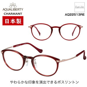 { t[ ANAoeB AQUALIBERTY V} yAQ22513 WYtzyz Kl xt x ɒB ዾ ߎ   ߂ {Xg JAPAN  y `^ 