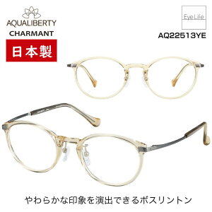 { t[ ANAoeB AQUALIBERTY V} yAQ22513 WYtzyz Kl xt x ɒB ዾ ߎ   ߂ {Xg JAPAN  y `^ 