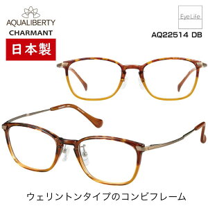 { t[ ANAoeB AQUALIBERTY V} yAQ22514 WYtzyz Kl xt x ɒB ዾ ߎ   ߂ EFg JAPAN  y `^ `