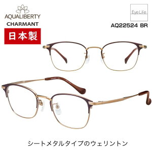 { t[ ANAoeB AQUALIBERTY V} yAQ22524 WYtzyz Kl xt x ዾ ߎ   ߂ EFg V[g^ ^u[ y