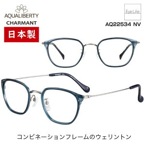 { t[ ANAoeB AQUALIBERTY V} yAQ22534 WYtzyz Kl xt x ዾ ߎ   ߂ EFgRrt[ y `^ 