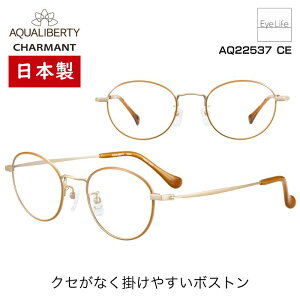 { t[ ANAoeB AQUALIBERTY V} yAQ22537 WYtzyz Kl xt x ɒB ዾ ߎ   ߂ {Xg JAPAN  y `^ `^