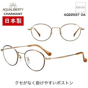 { t[ ANAoeB AQUALIBERTY V} yAQ22537 WYtzyz Kl xt x ɒB ዾ ߎ   ߂ {Xg JAPAN  y `^ `^