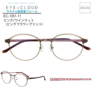 ACNEh Kl yEC-1051zyz xt xȂ ɒBKl {Xg Kl t[ y y  v  ɂ IV Vv Ee nOEIU Hug Ozawa EYEs