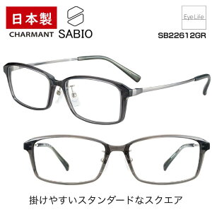 { t[ TrI SABIO V} ySB22612 WYtzyz Kl xt x Y ɒB ዾ ߎ   ߂ XNGA Vv  I] y y `^ C