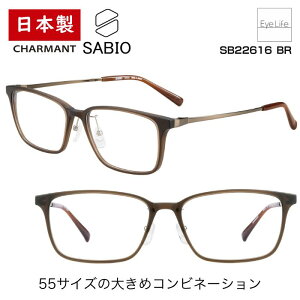 { t[ TrI SABIO V} ySB22616 WYtzyz Kl xt x Y ɒB ዾ ߎ   ߂ XNGA Vv Rrl[V  I] 