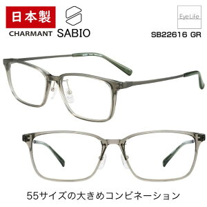 { t[ TrI SABIO V} ySB22616 WYtzyz Kl xt x Y ɒB ዾ ߎ   ߂ XNGA Vv Rrl[V  I] 