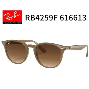 RayBan ���C�o���yRB4259F 616613�z �T���O���X 53�T�C�Y �p���g�X Ray-Ban �u�����h �h���C�u �^�] �R �� �L�����v �y�������K�i�z