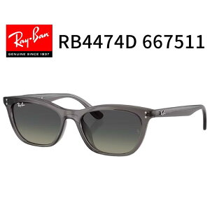 RayBan ���C�o���yRB4474D 667511�z�T���O���X 54�T�C�Y Ray-Ban �j�� ���� �����Y ���f�B�[�X ���j�Z�b�N�X �y�������K�i�z