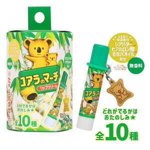 RÃ}[` }XRbgtbvN[ S10 RXG ێ  Mtg bvN[