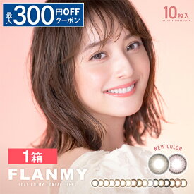 【最大300円OFFクーポン！6/3～6/17 9:59まで】フランミー 10枚入り カラコン カラーコンタクト 1day ワンデー 1日使い捨て 度あり ナチュラル カラーコンタクトレンズ 送料無料 13.4 / 13.6 / 13.7 / 13.8 佐々木希