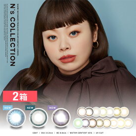 【2箱】 N's Collection エヌズコレクション 渡辺直美 カラコン 14.2mm 度なし 度あり 1da 10枚 カラコン ワンデー カラーコンタクト