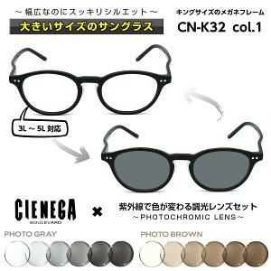 サングラス 大きいサイズの人気商品 通販 価格比較 価格 Com