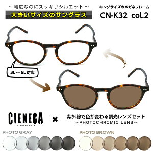 傫TCY  TOX VFlK CIENEGA CN-K32 C-2 Y j rWlX JWA {Xg