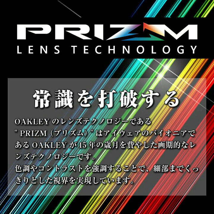 楽天市場】オークリー 偏光 サングラス OO9245 87 OAKLEY Frogskins (A 
