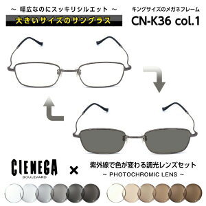 傫TCY  TOX VFlK CIENEGA CN-K36 C-1 Y j rWlX JWA XNGA