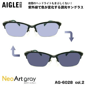 �G�[�O�� ���� �T���O���X �l�I�A�[�g AG-6028 col.2 55m AIGLE UV�J�b�g ���O���J�b�g