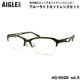 エーグル 伊達 ダテメガネ AG-6028 col.2 55mm AIGLE ブルーライトカット UVカット