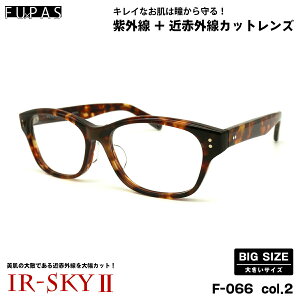 傫TCY PA _eKl F-066 col.2 59mm t[pX FU×PAS BIGTCY I] { UVJbg ߐԊOJbg