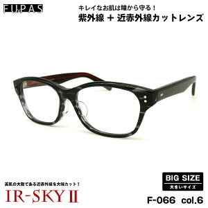 傫TCY PA _eKl F-066 col.6 59mm t[pX FU×PAS BIGTCY I] { UVJbg ߐԊOJbg