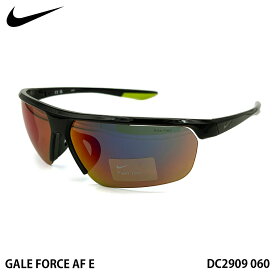 ナイキ サングラス NIKE DC2909 col.060 73mm ゲイルフォース アジアンフィット GALE FORCE AF E ミラー UVカット