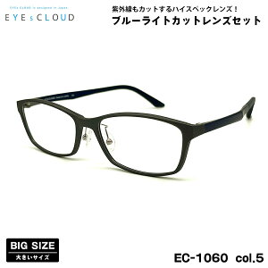 傫TCY ɒB _eKl EC-1060 col.5 58mm EYEs CLOUD ACNEh 傫 UVJbg u[CgJbg