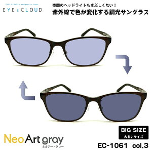 大きいサイズ 調光 サングラス ネオアート EC-1061 col.3 57mm EYEs CLOUD アイクラウド BIGサイズ UVカット メンズ レディース
